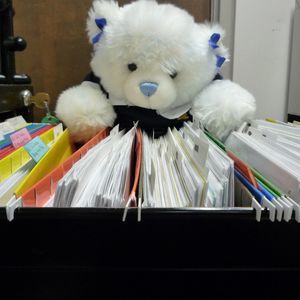 Meet your Posher, Joyce